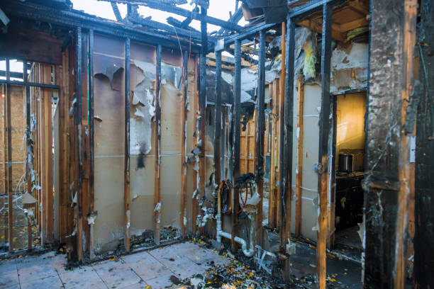 Professional Smoke Damage Removal technician working in Washburn, IL